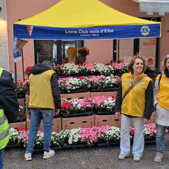 I Lions distribuiscono le  piantine a favore dell’AIRC