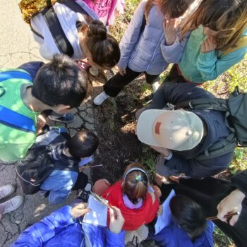 I sentieri delle bambine e dei bambini, la grande festa finale