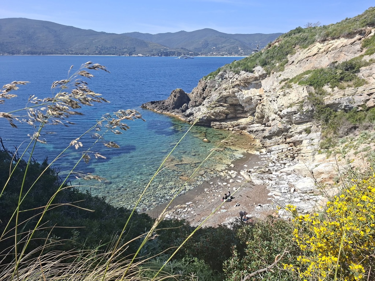 elba book